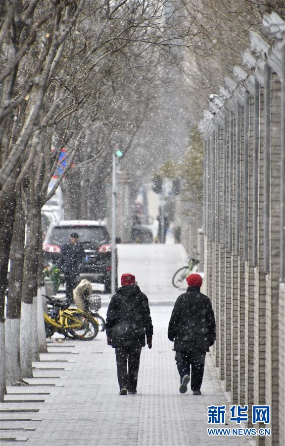 Beijing coberta de branco após primeira queda de neve do ano