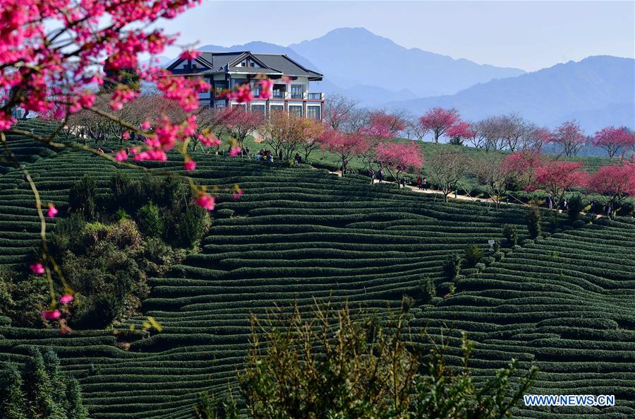 China aprofunda Implementação da estratégia de revitalização rural