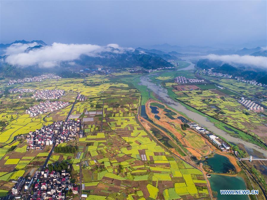 China aprofunda Implementação da estratégia de revitalização rural