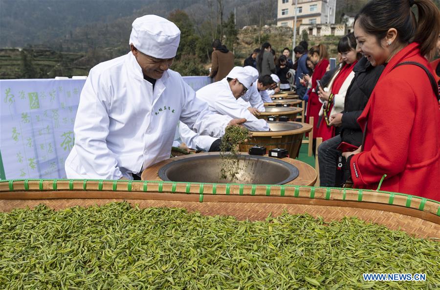 Galeria: A inauguração do parque de chá da primavera foi realizada na China