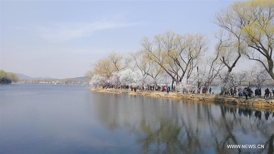 Galeria: Paisagem da primavera em Beijing 