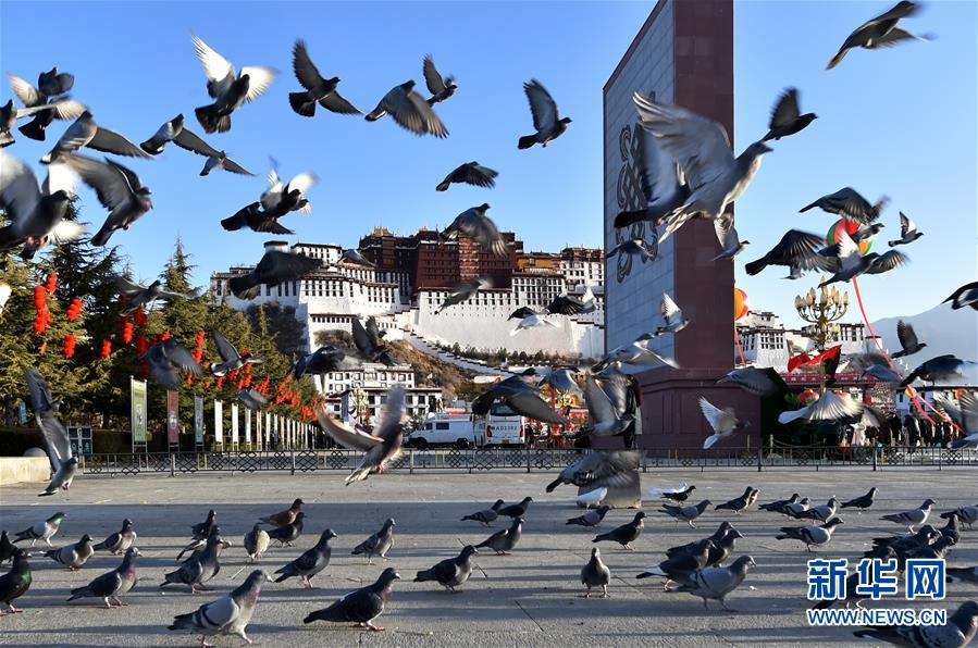 Galeria:A cerimónia do 60º aniversário da reforma democrática do Tibete foi realizada em Lhasa