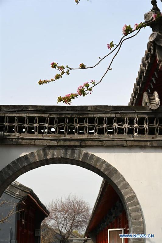 Galeria:Flores florescem no Museu do Palácio em Pequim, China