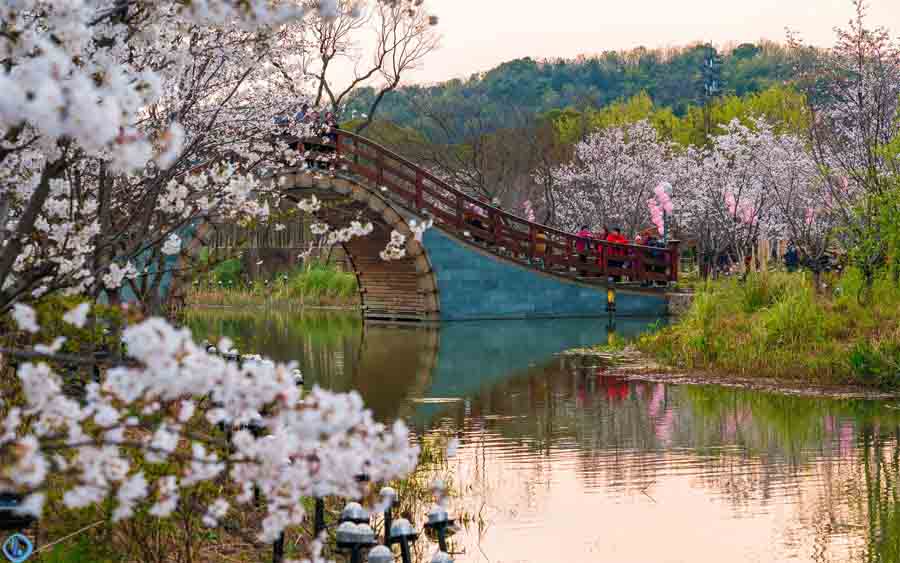 Wuxi:A paisagem deslumbrante de Nianhuawan