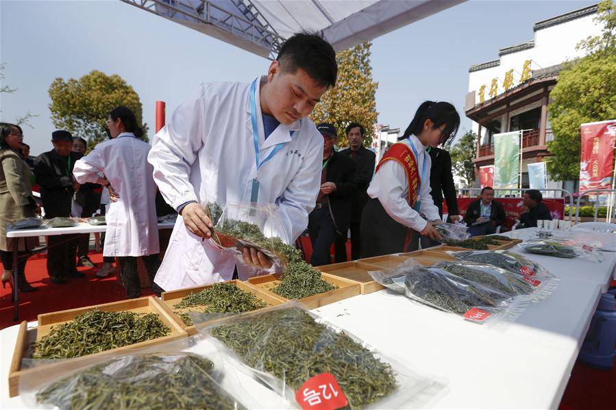 Competição de chá em Huangshan, província de Anhui