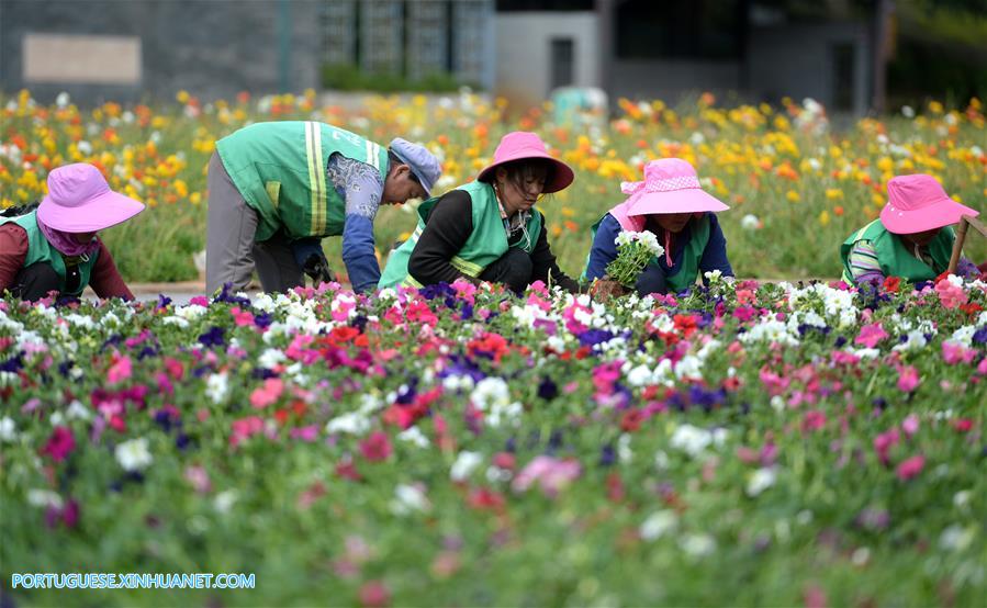 Galeria:Pessoas visitam o jardim da Exposição Internacional de Horticultura em Kunming, sudoeste da China