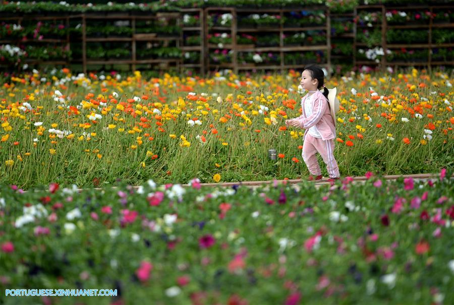 Galeria:Pessoas visitam o jardim da Exposição Internacional de Horticultura em Kunming, sudoeste da China