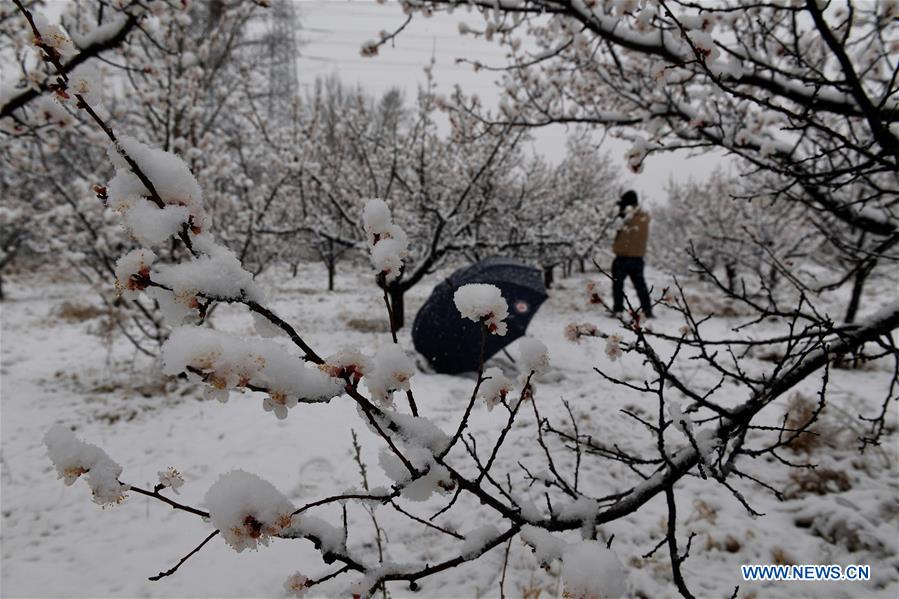 Galeria:Beijing celebra a neve em abril