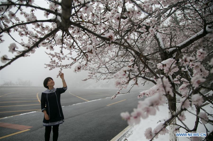 Galeria:Beijing celebra a neve em abril