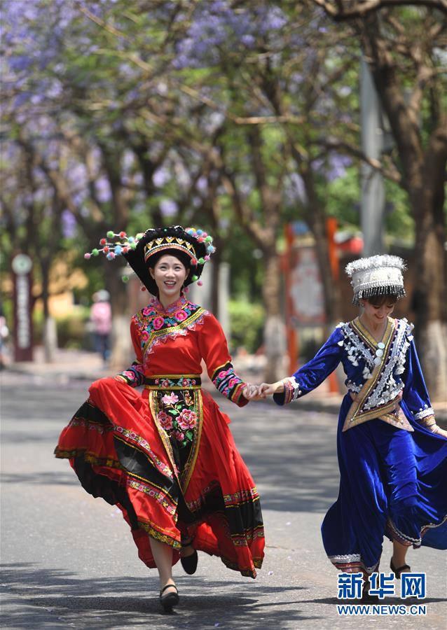 Galeria: Cidade de Kunming recebe temporada de flores