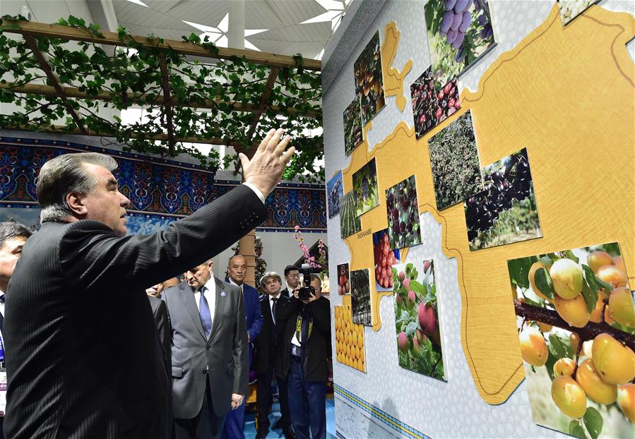 Galeria:Xi e líderes estrangeiros visitam Exposição Internacional de Horticultura