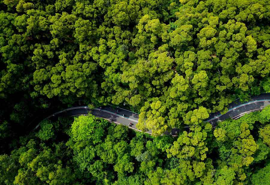 Pistas para pedestres ao lado de floresta oferecem local agradável para lazer em Fuzhou, sudeste da China