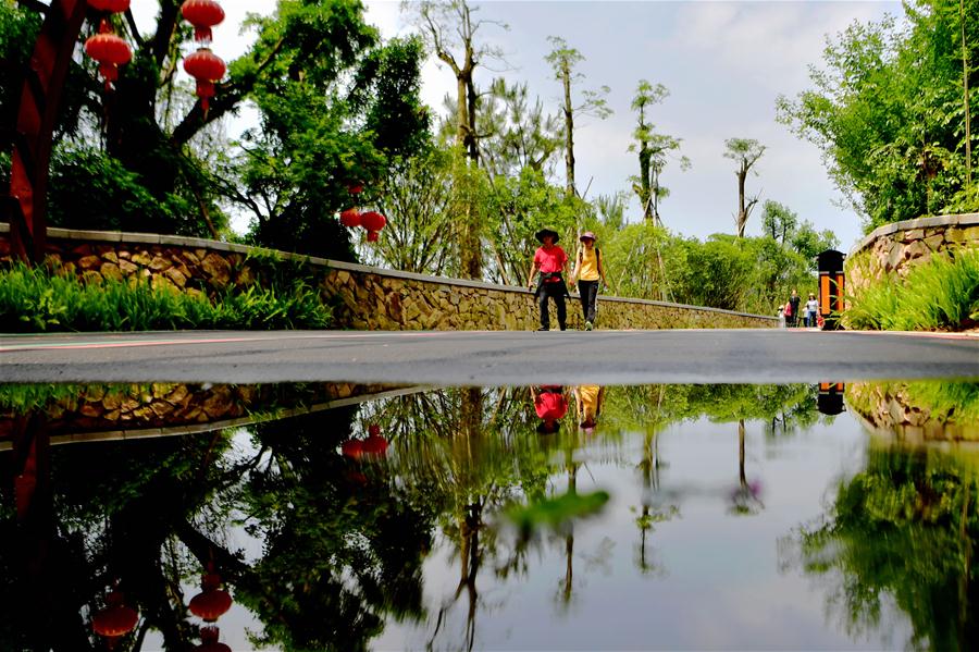 Pistas para pedestres ao lado de floresta oferecem local agradável para lazer em Fuzhou, sudeste da China