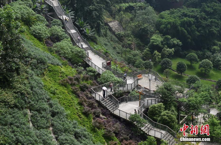 Galeria: Caminho especial para casa em Chongqing