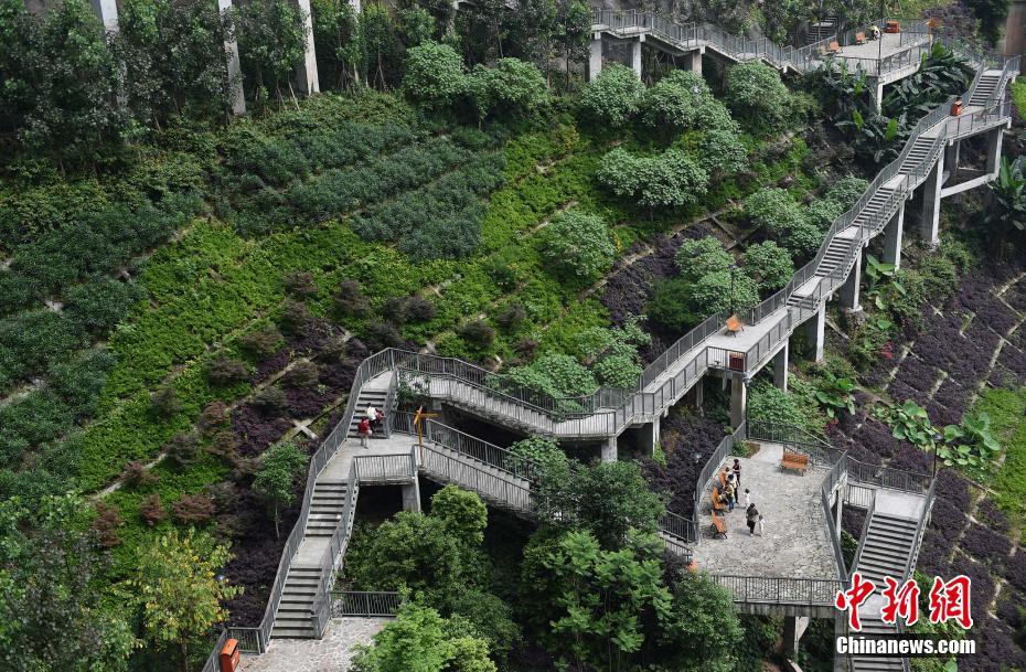 Galeria: Caminho especial para casa em Chongqing