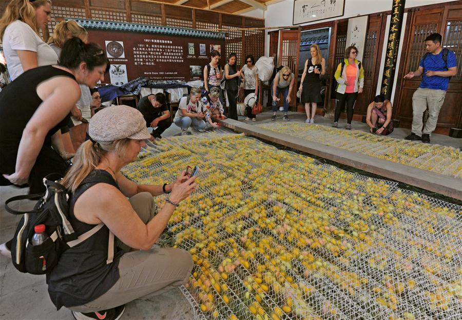 Museu exibe coleção de ferramentas para cultivo de bichos-da-seda em Zhejiang