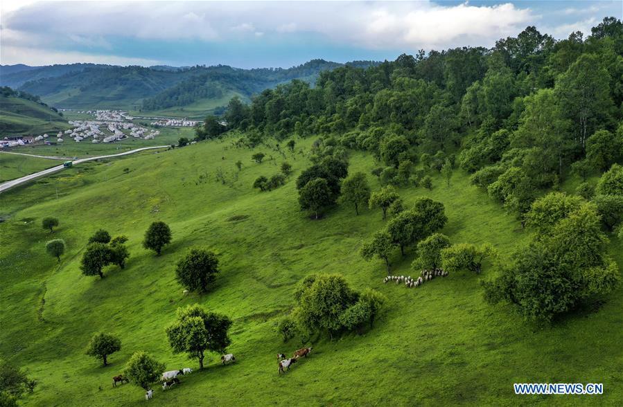 Galeria: Paisagem da pastagem de Guanshan em Shaanxi