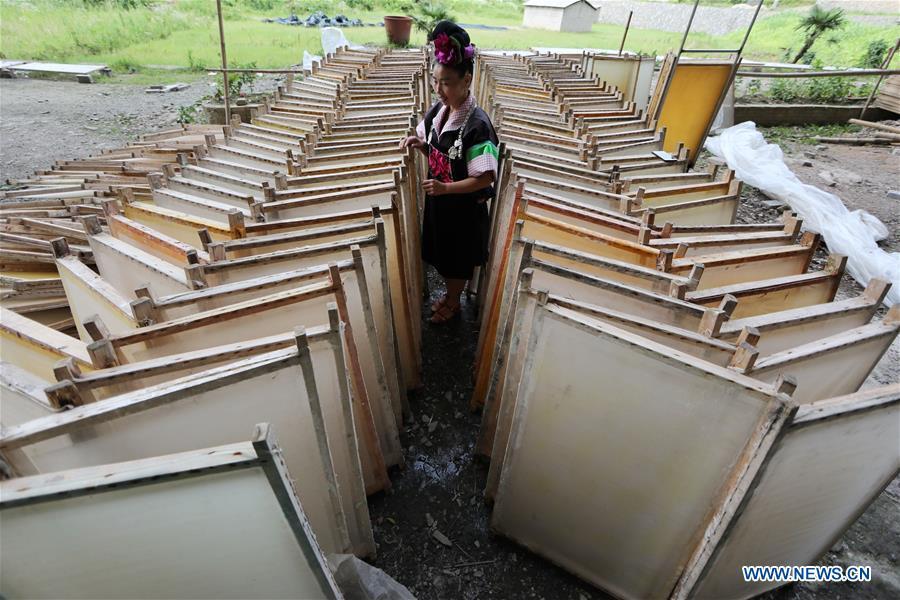 Fabricação de papel tradicional em combinação com a inovação cultural