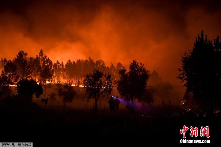 Portugal: Incêndio florestal em Castelo Branco deixa pelo menos 30 feridos