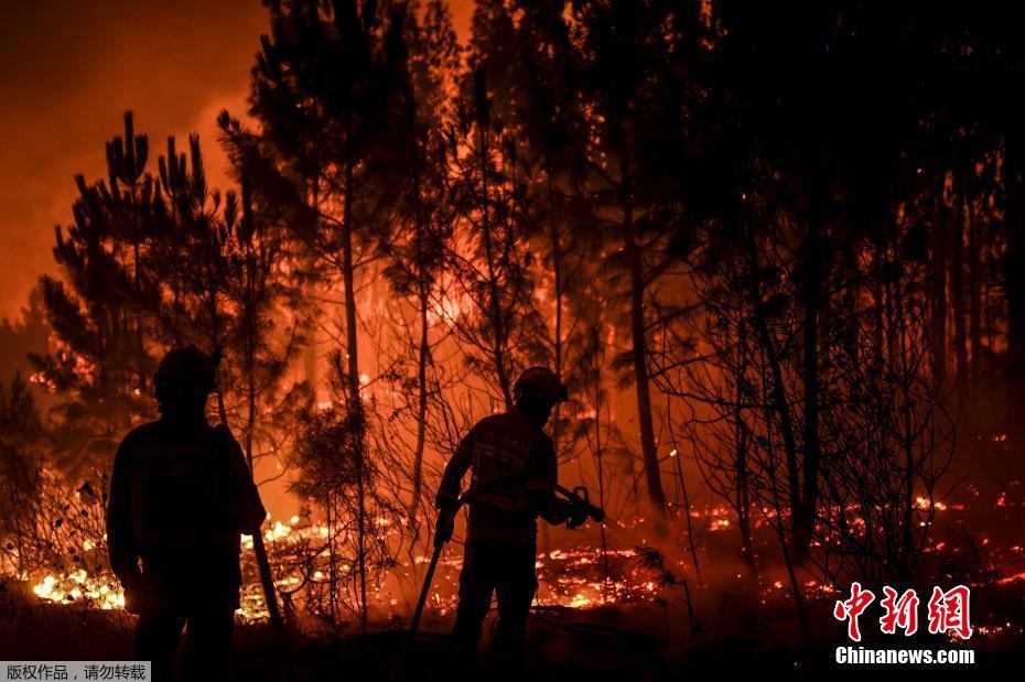 Portugal: Incêndio florestal em Castelo Branco deixa pelo menos 30 feridos