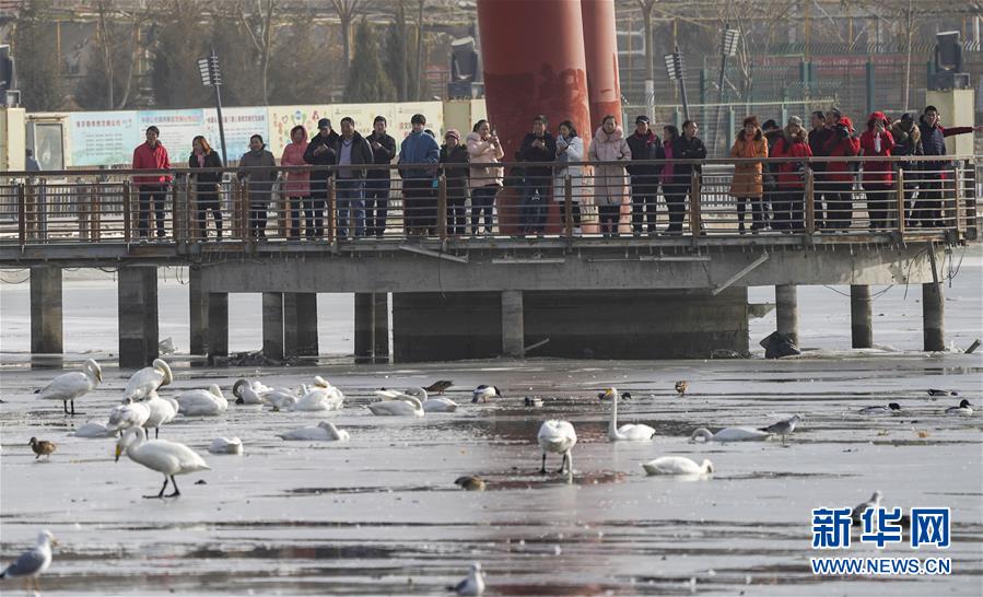 Xinjiang recebe mais de 75 milhões de turistas no primeiro semestre