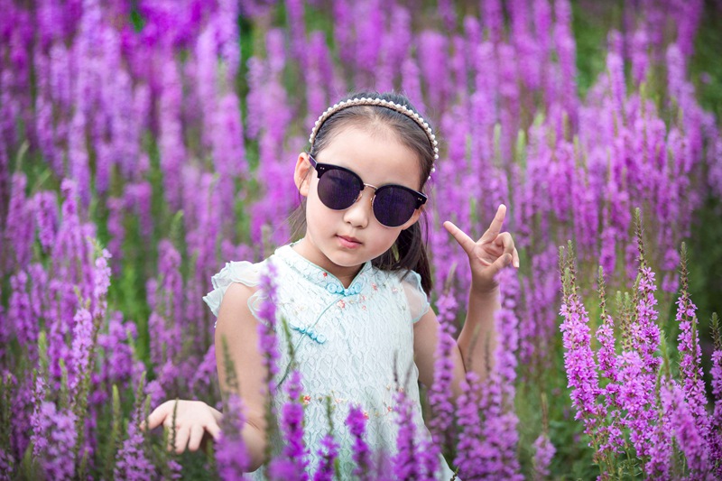 Mongólia Interior: Jardim de lavanda em Tongliao faz sucesso entre turistas