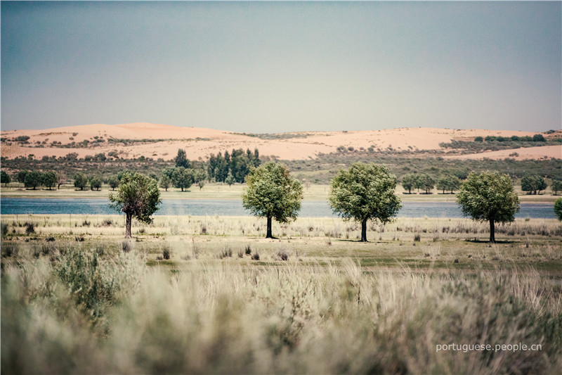 Galeria: Um paraíso onde coexistem pradarias e desertos na Mongólia Interior