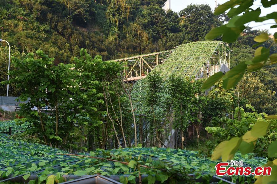 Chongqing: escadas rolantes construídas em encosta montanhosa