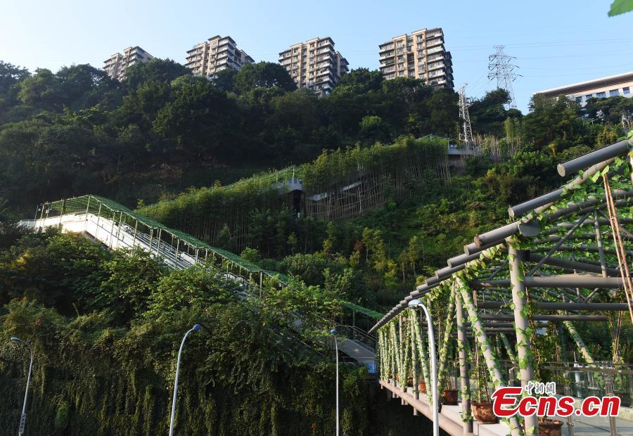 Chongqing: escadas rolantes construídas em encosta montanhosa