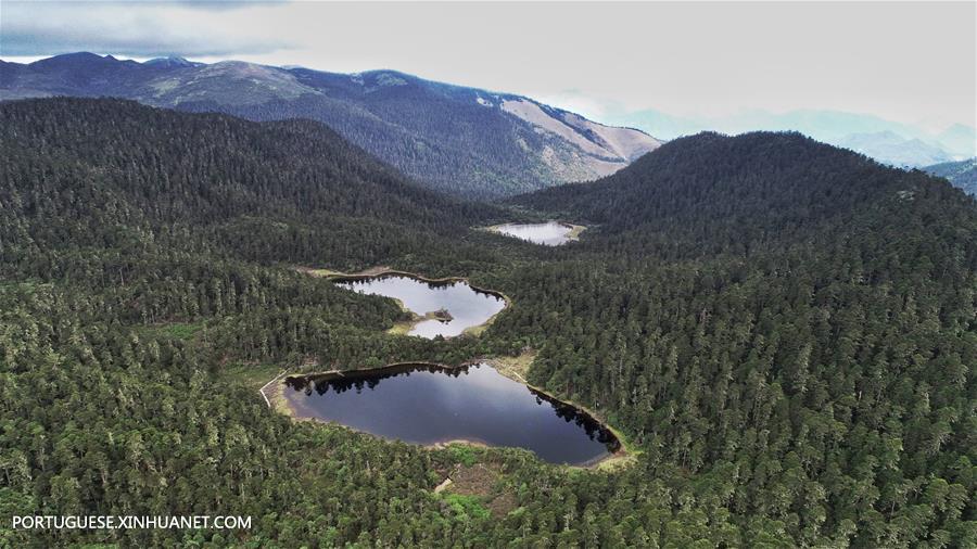 China verde: Yunnan coloca grandes esforços na promoção da construção da civilização ecológica