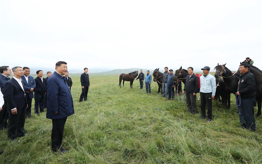 Xi faz visita de inspeção em Shandan, província de Gansu