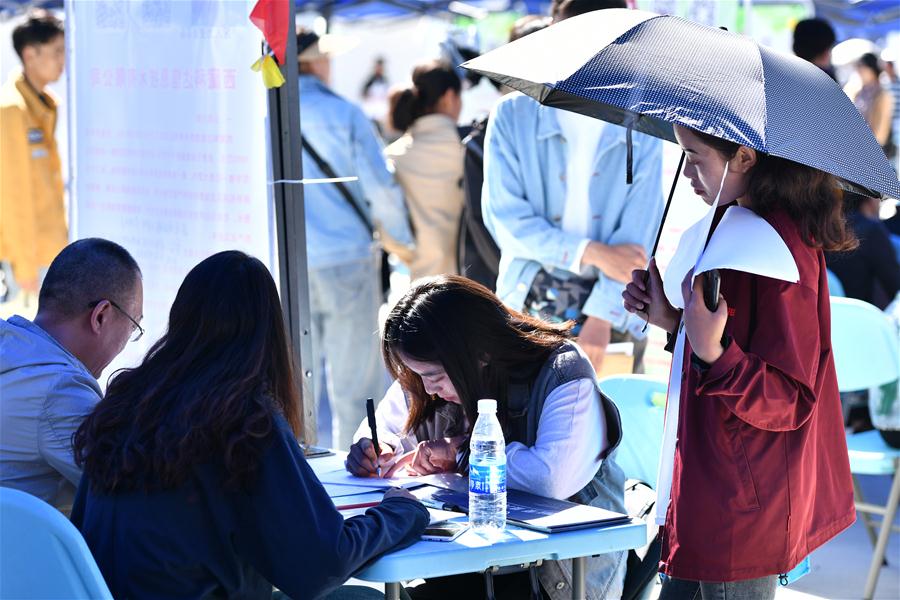 Realizada feira de empregos para graduados universitários no Tibet, sudoeste da China