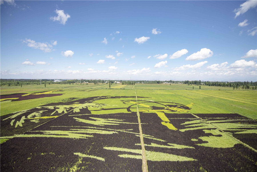 Parque de arte Tanbo acrescenta variedade artística à paisagem de Xinjiang
