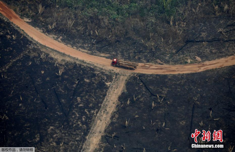O governo brasileiro mobiliza o exército para ajudar a extinguir incêndios graves na Floresta Amazônica