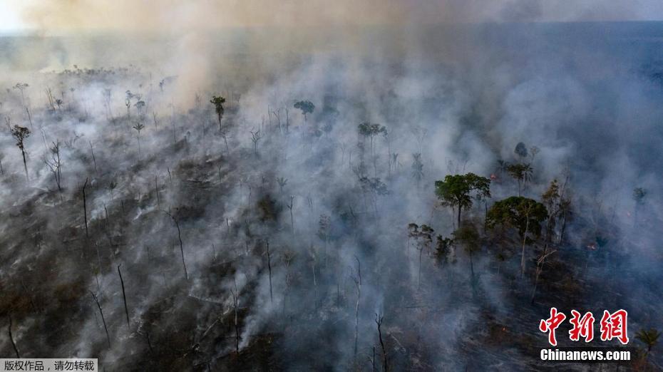 O governo brasileiro mobiliza o exército para ajudar a extinguir incêndios graves na Floresta Amazônica