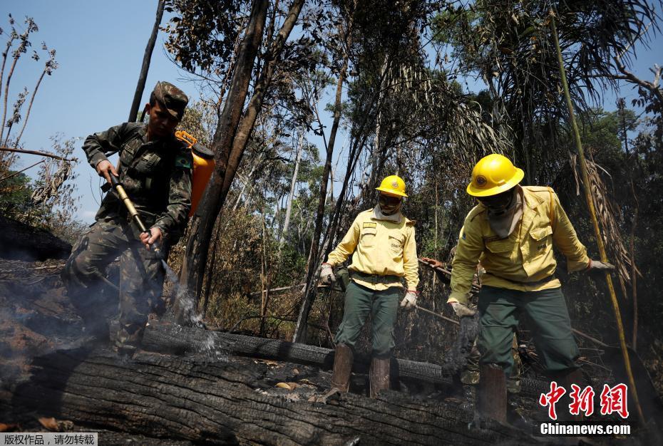 Galeria: bombeiros brasileiros combatem incêndio na Florestal Amazônica