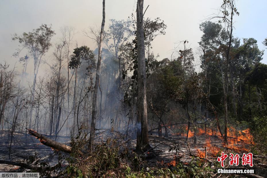 Galeria: bombeiros brasileiros combatem incêndio na Florestal Amazônica