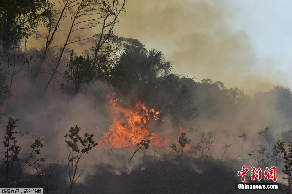 Galeria: bombeiros brasileiros combatem incêndio na Florestal Amazônica