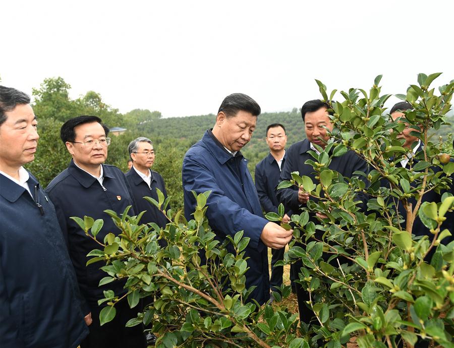 Xi enfatiza confiança e trabalho árduo durante inspeção no centro da China
