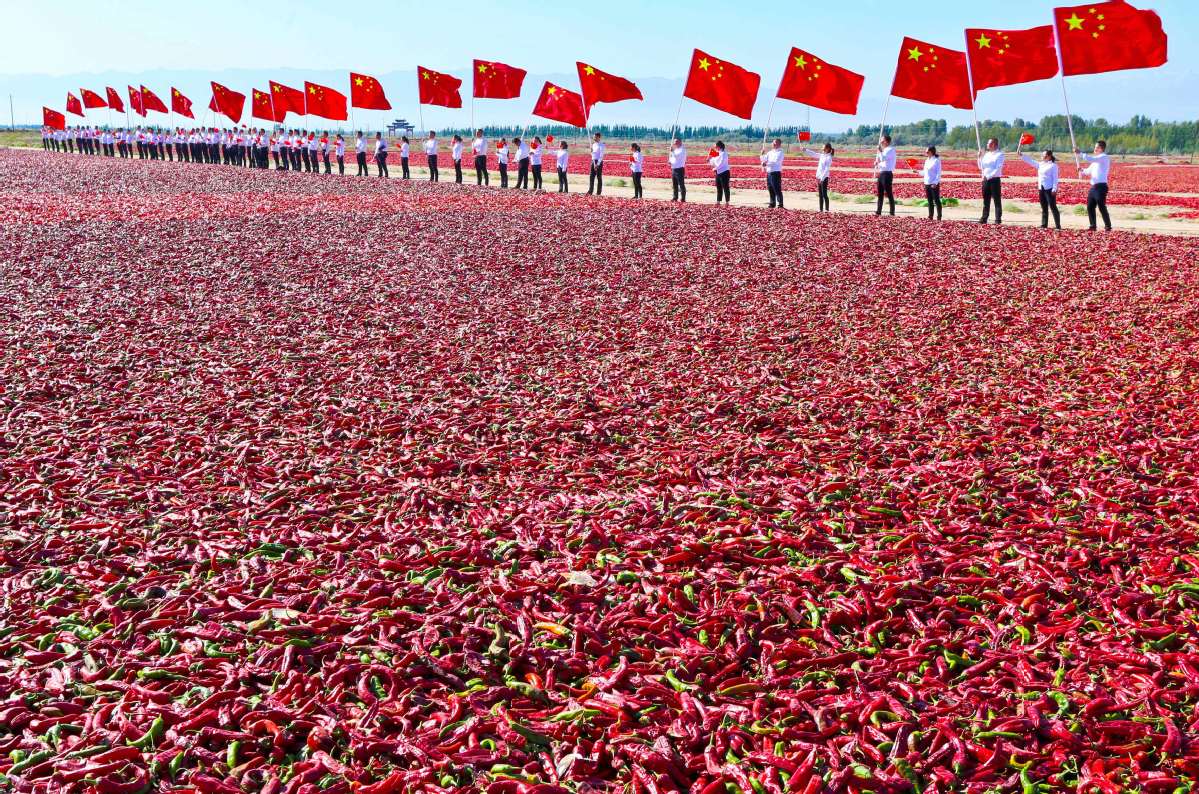  Agricultores chineses celebram ano de colheita com pimentas vermelha