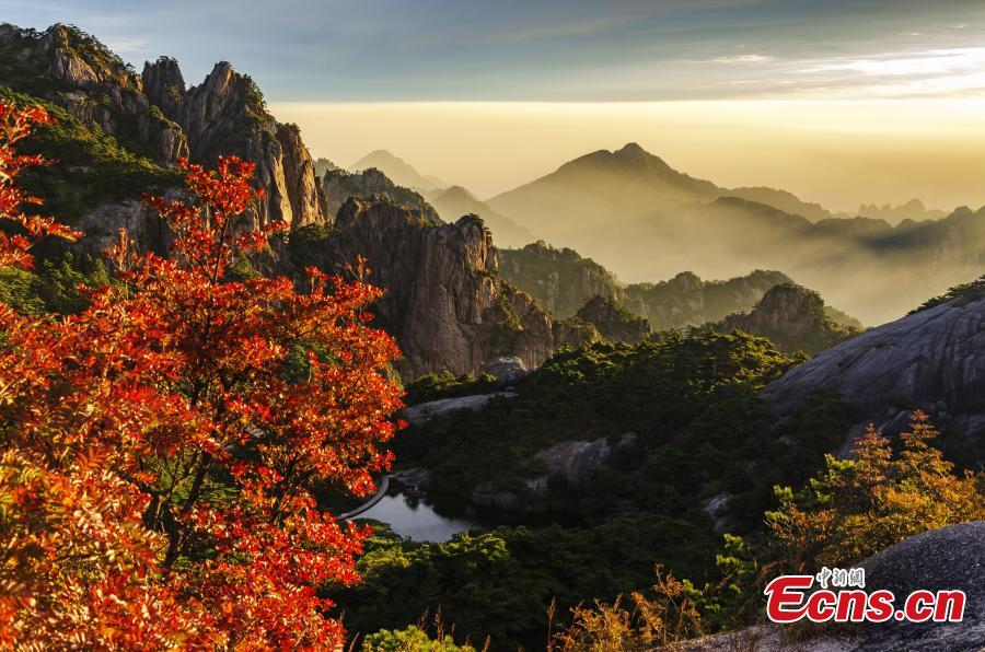 Galeria: paisagem do outono na Montanha Huangshan