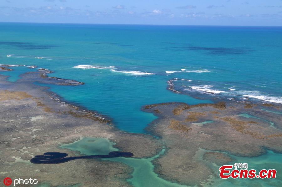 Brasil: limpeza de praias afetadas por derramamento de petróleo