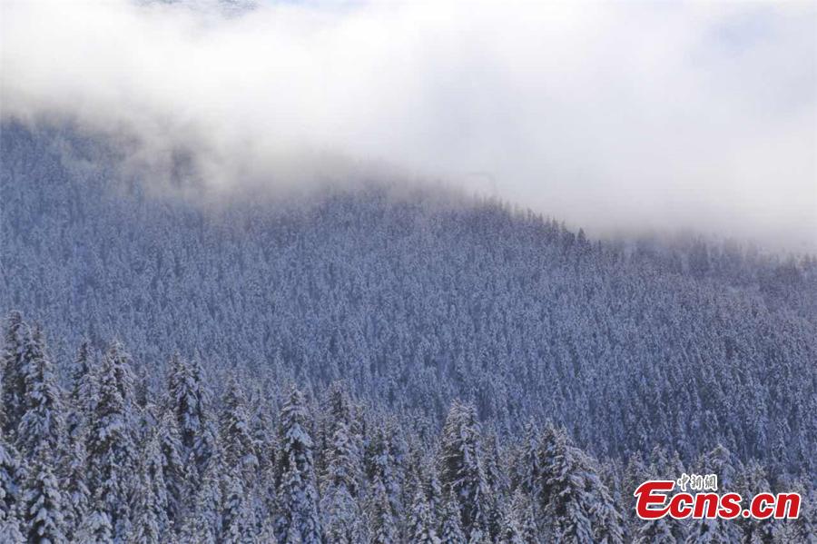 Guansu: neve chega na Fazenda de Cavalos Militar Shandan