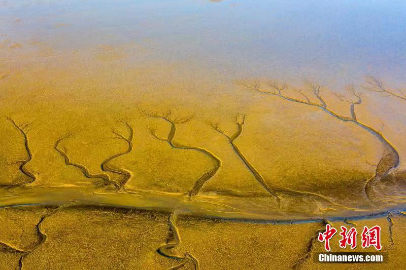 Paisagem especial após maré baixa em Jiangsu