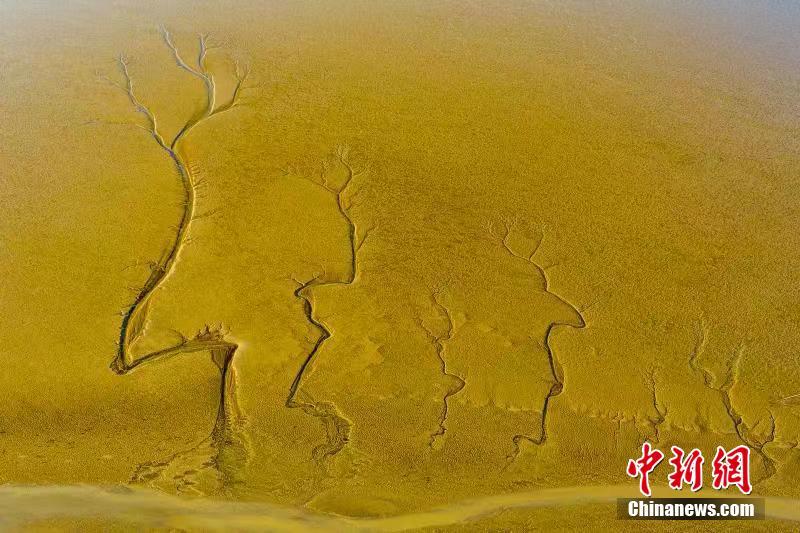 Paisagem especial após maré baixa em Jiangsu