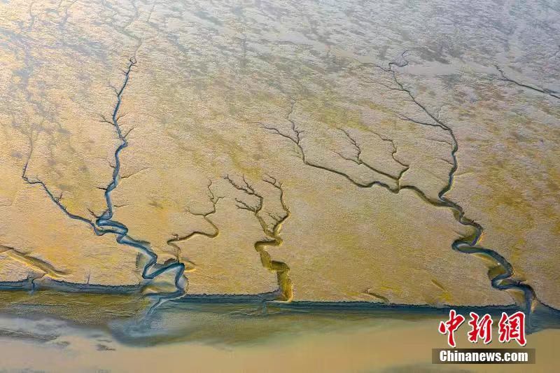 Paisagem especial após maré baixa em Jiangsu