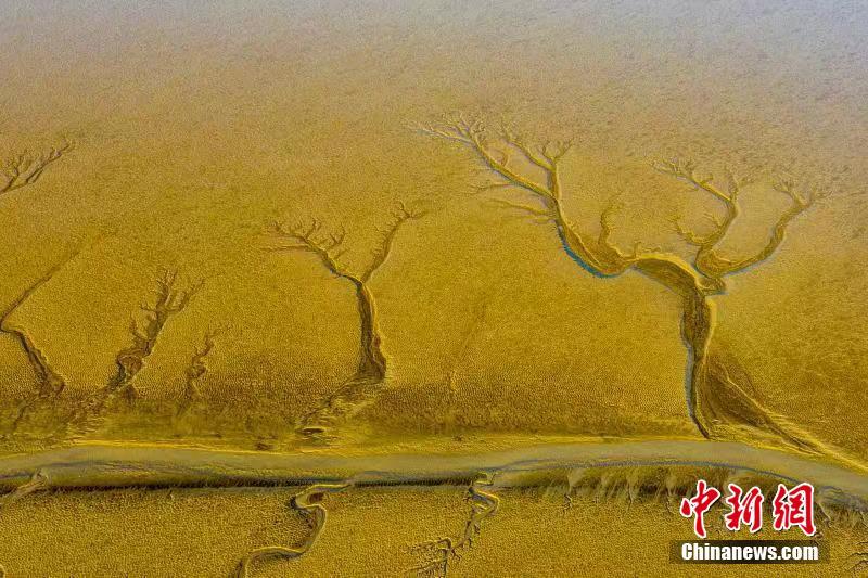 Paisagem especial após maré baixa em Jiangsu