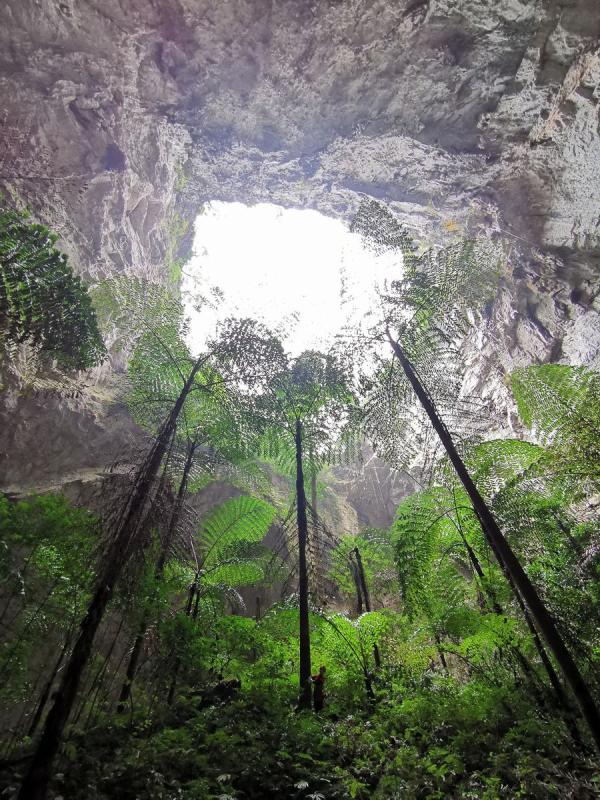 Cientistas descobrem buraco cárstico gigante na China