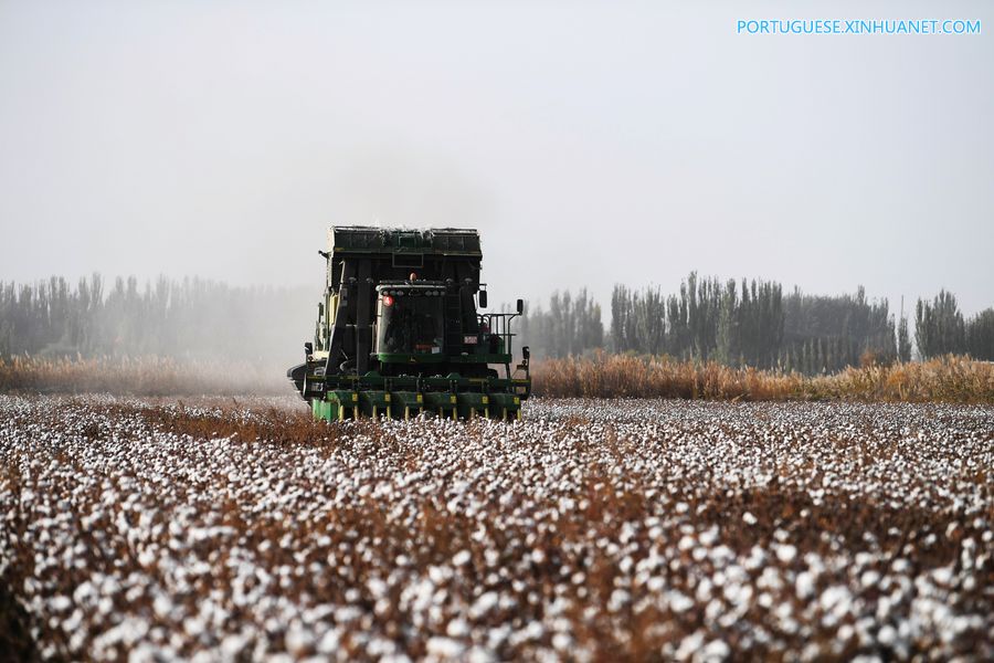 China ocupa segundo lugar no mundo em desempenho da ciência agrícola