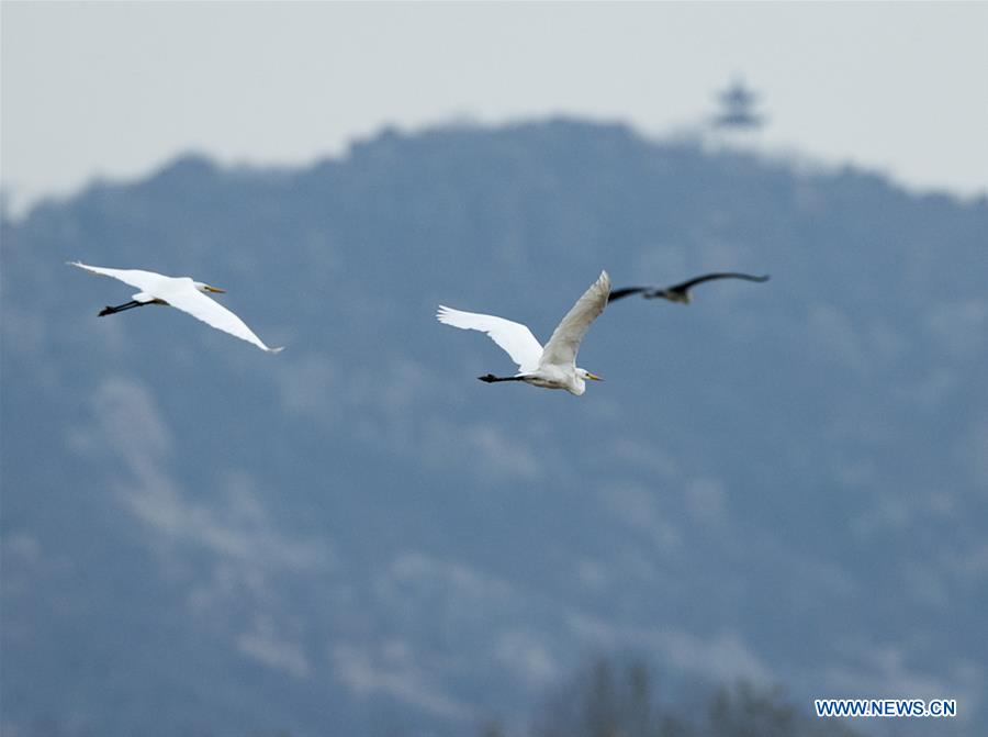 Paisagem da região de Longhu em Shandong